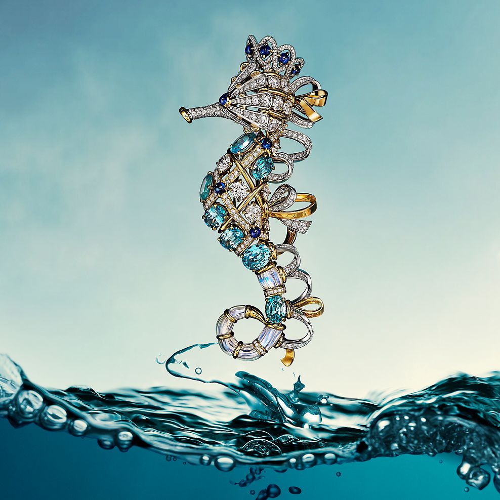 ブルー ブック コレクション 2025：シー オブ ワンダー」を見る