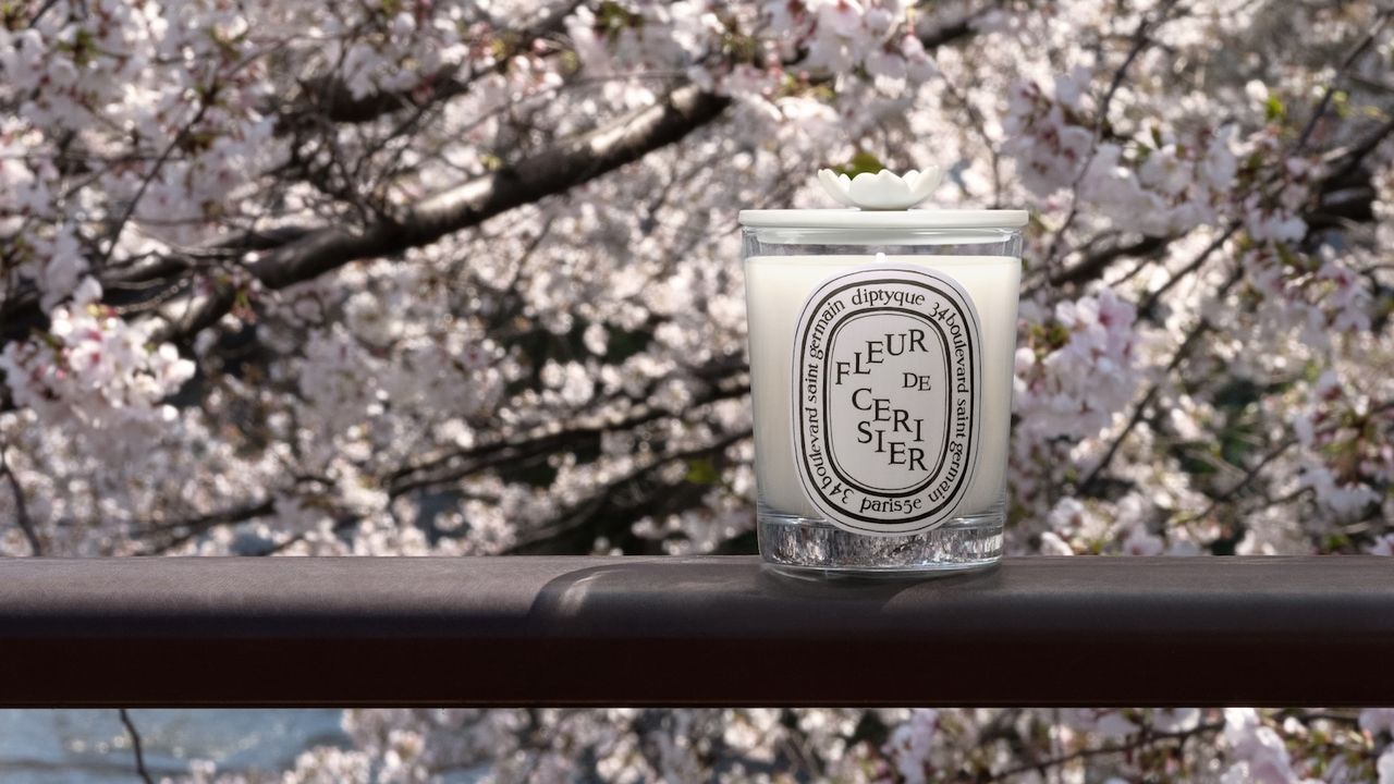 ディプティックの満開の桜の木を表現したキャンドルが期間限定で再登場