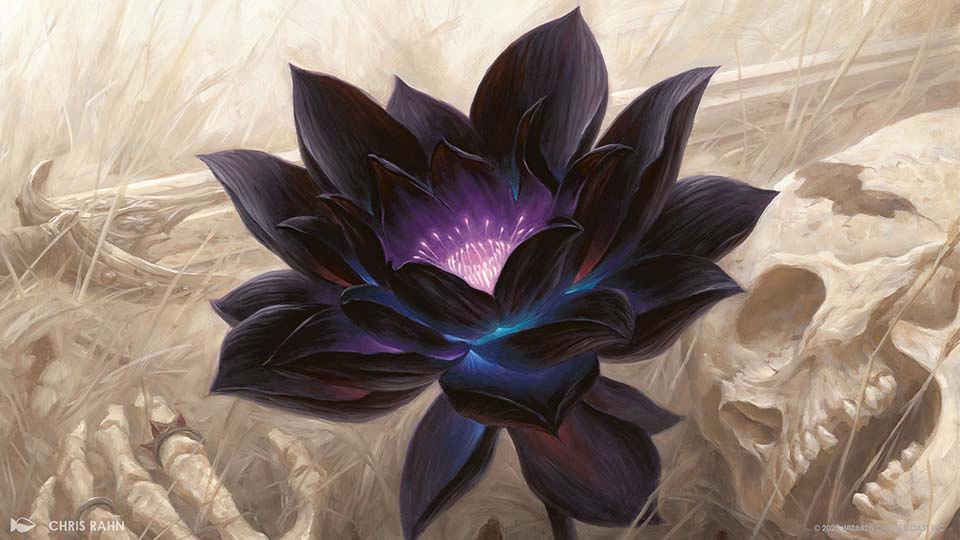 パワー・キューブ」開催のお知らせ！