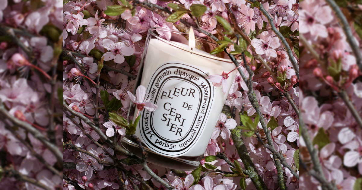 ディプティック」の桜キャンドル今年も限定発売 売上の一部を被災地の