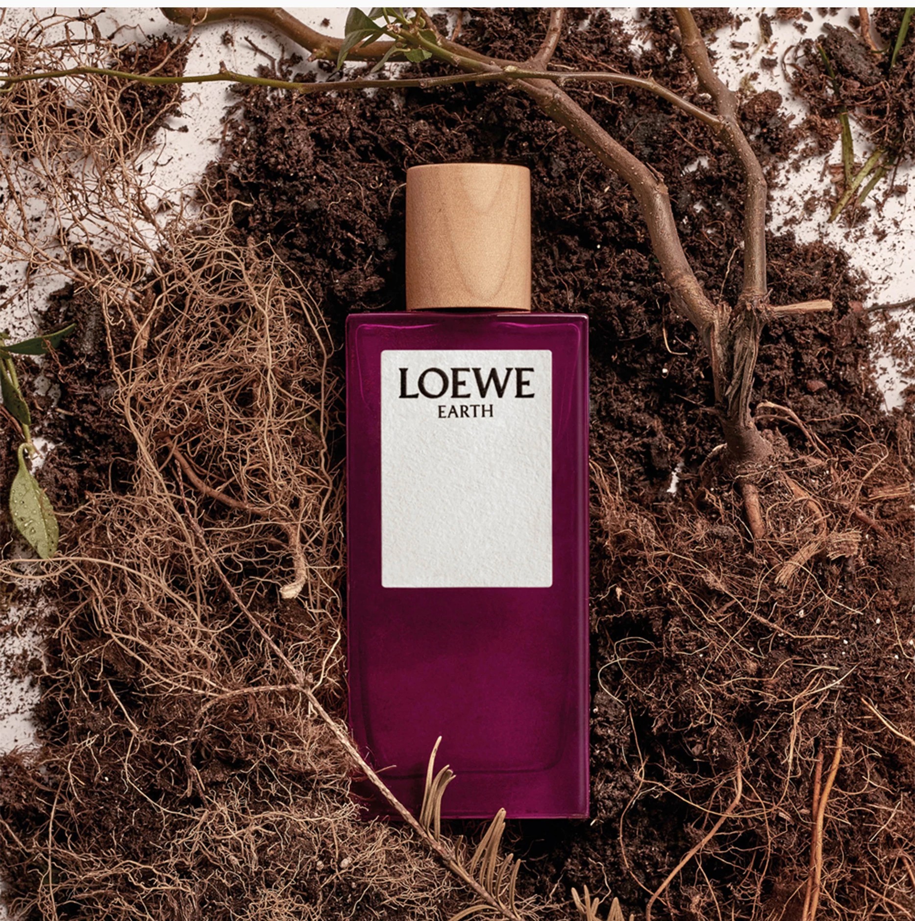Loewe Earth Eau de Perfume - 100 ml