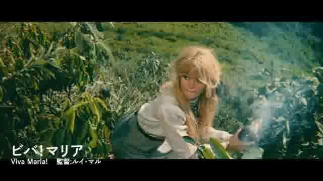 ビバ！マリア : 作品情報・キャスト・あらすじ・動画 - 映画.com