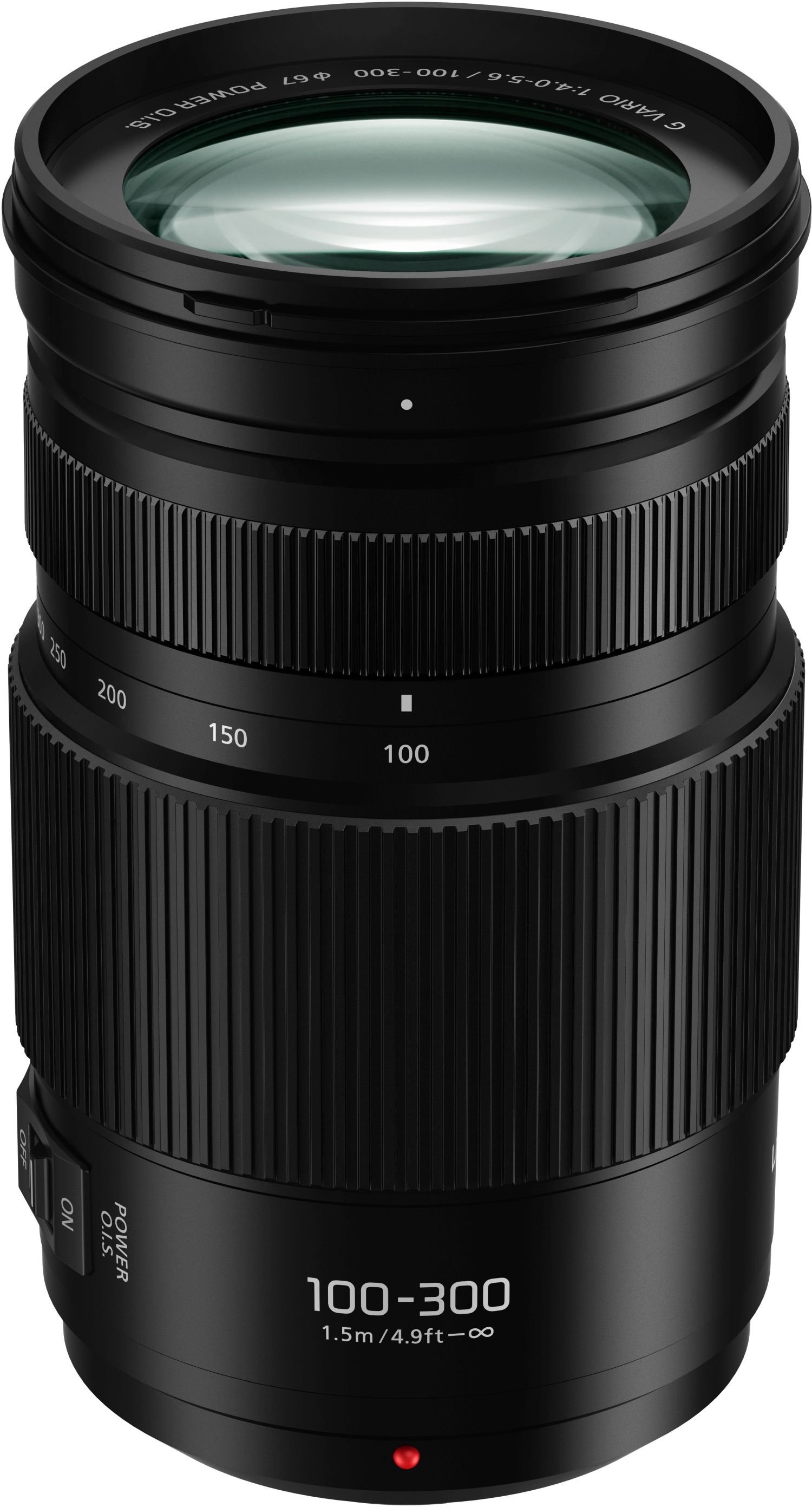 Panasonic Lumix G Vario 100-300mm f4.0-5.6 II OIS - Foto Erhardt