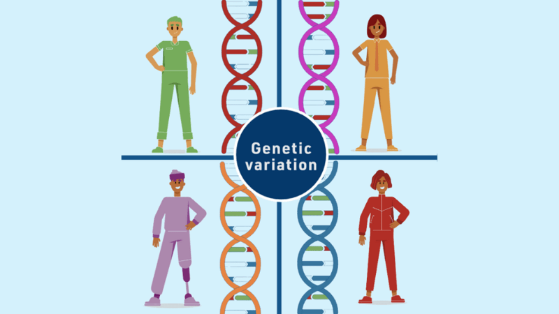 TtGG Variation in the Genome Module