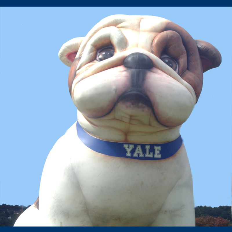 careersatyale | Yale University | 15 comments