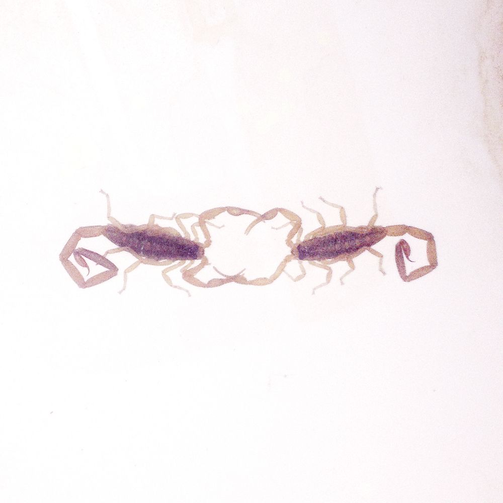 邦楽 WABI SABI HARDCORE 邦楽 WABI SABI HARDCORE 邦楽 WABI SABI