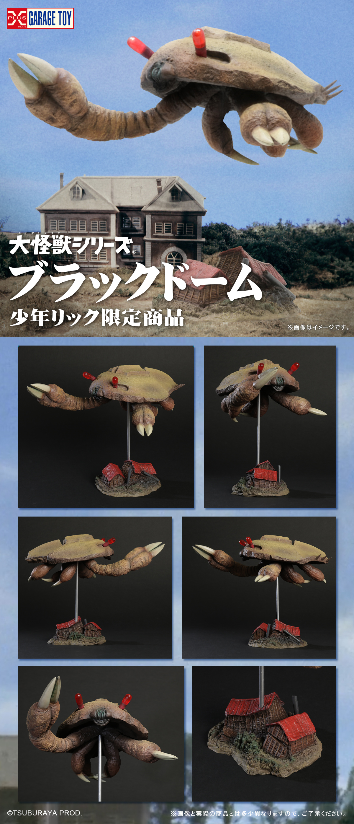 ブラックドーム