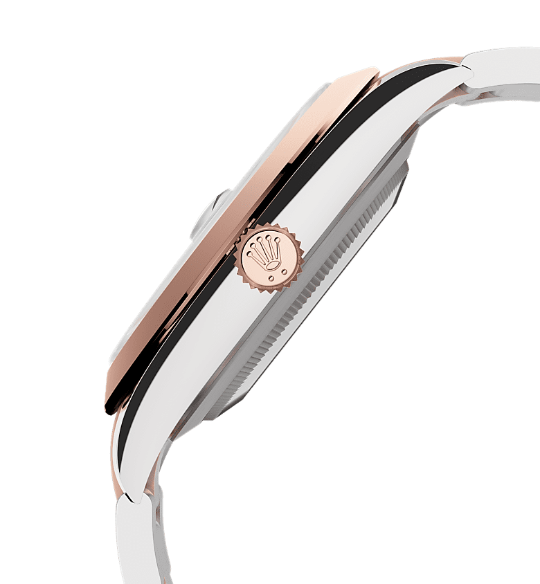 ロレックス デイトジャスト 41 ウォッチ：オイスタースチール＆エバー