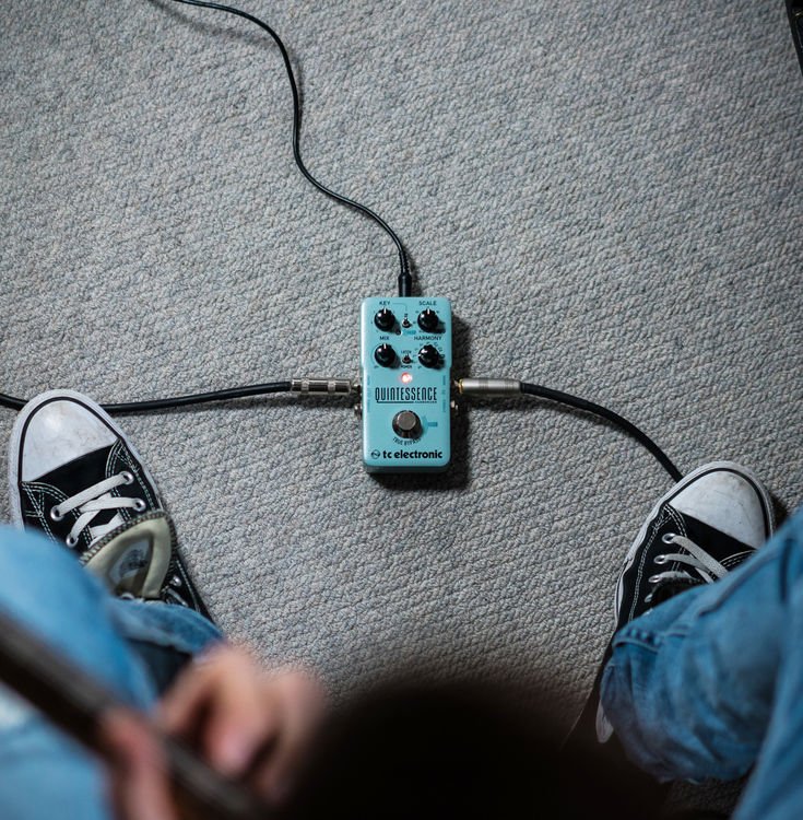 TC Electronic Quintessence Harmony Pedal | Sweetwater