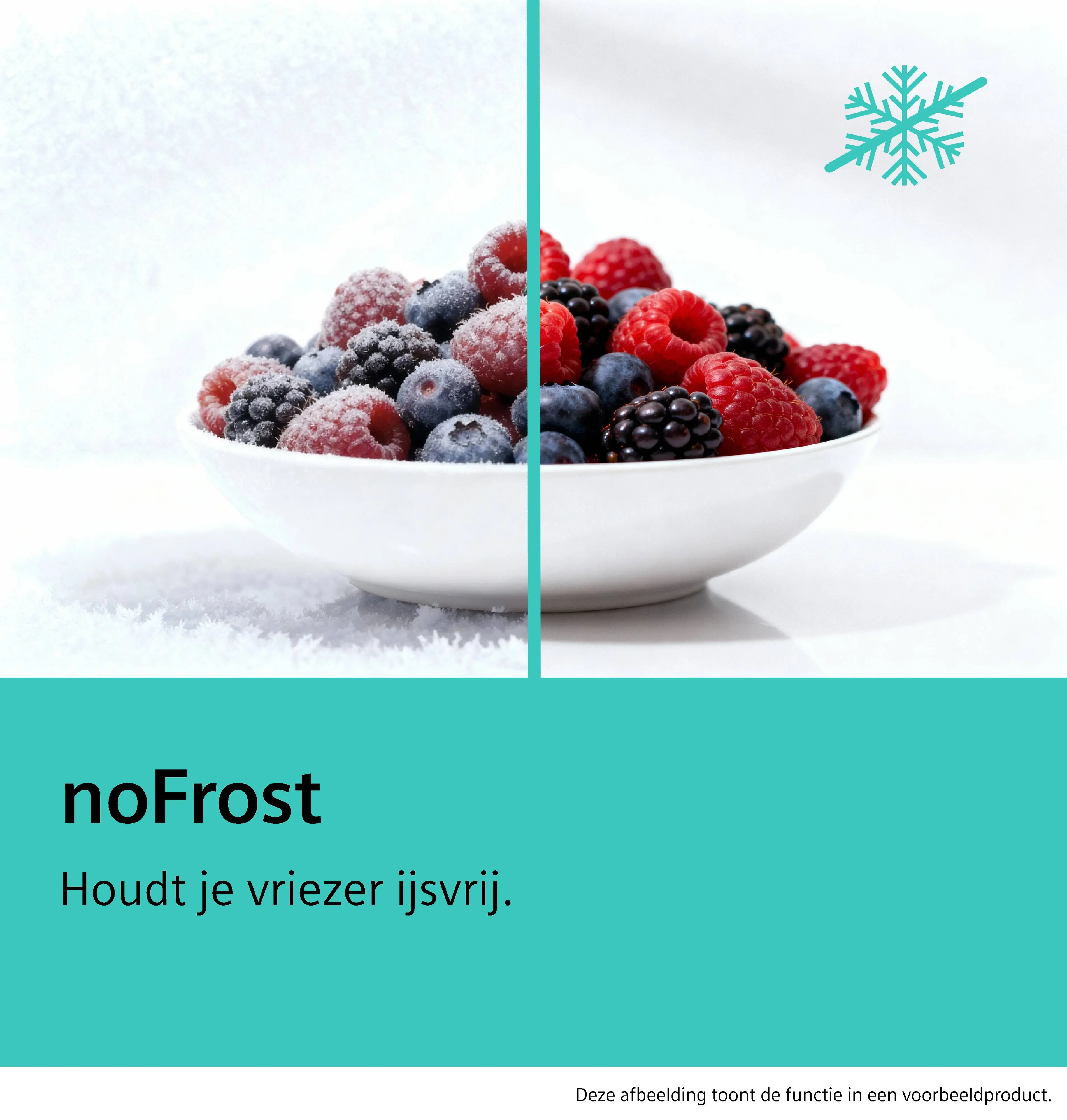 GS36NGIEV Vrijstaande vriezer | SIEMENS NL