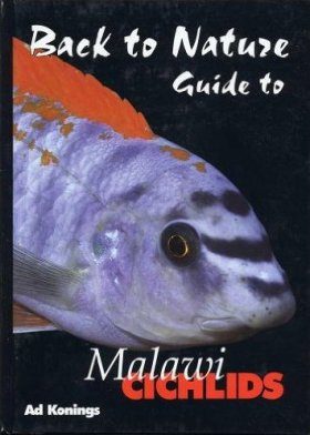 Back to Nature Guide to Malawi Cichlids | NHBS Academic