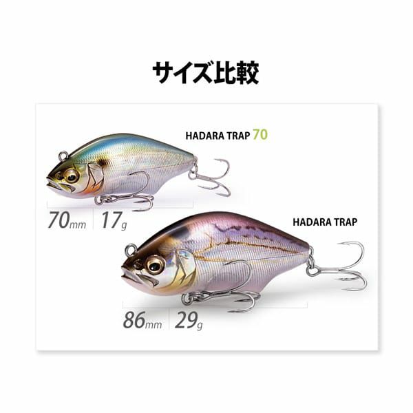 HADARA TRAP 70 FA ヒイラギ | Megabass - メガバス オンラインショップ