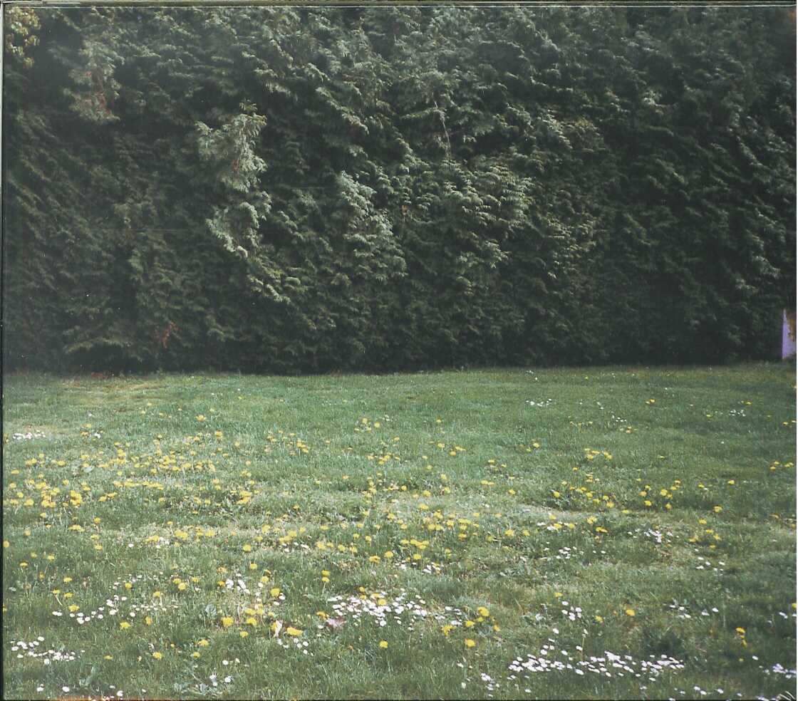 芽瑠璃堂 ＞ ミツメ 『Ghosts (CD)』PECF1168