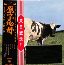 jacket.php?id=SICP6396-97