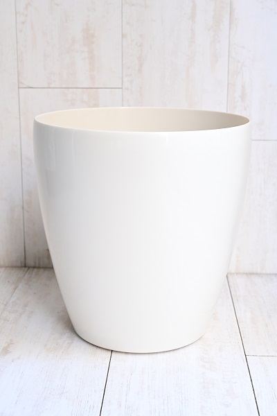 flower gift lab / ドラセナ グローカル7号 （ラスターポット付）