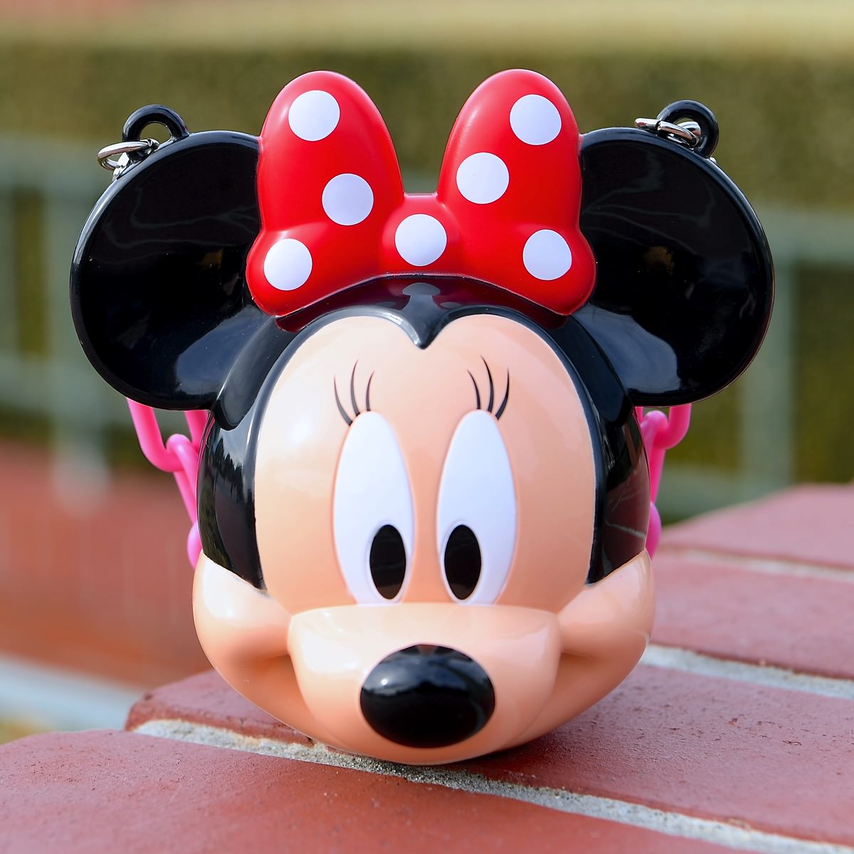 待望のミッキー・ミニー・プーさんが登場！東京ディズニーランド ミニ