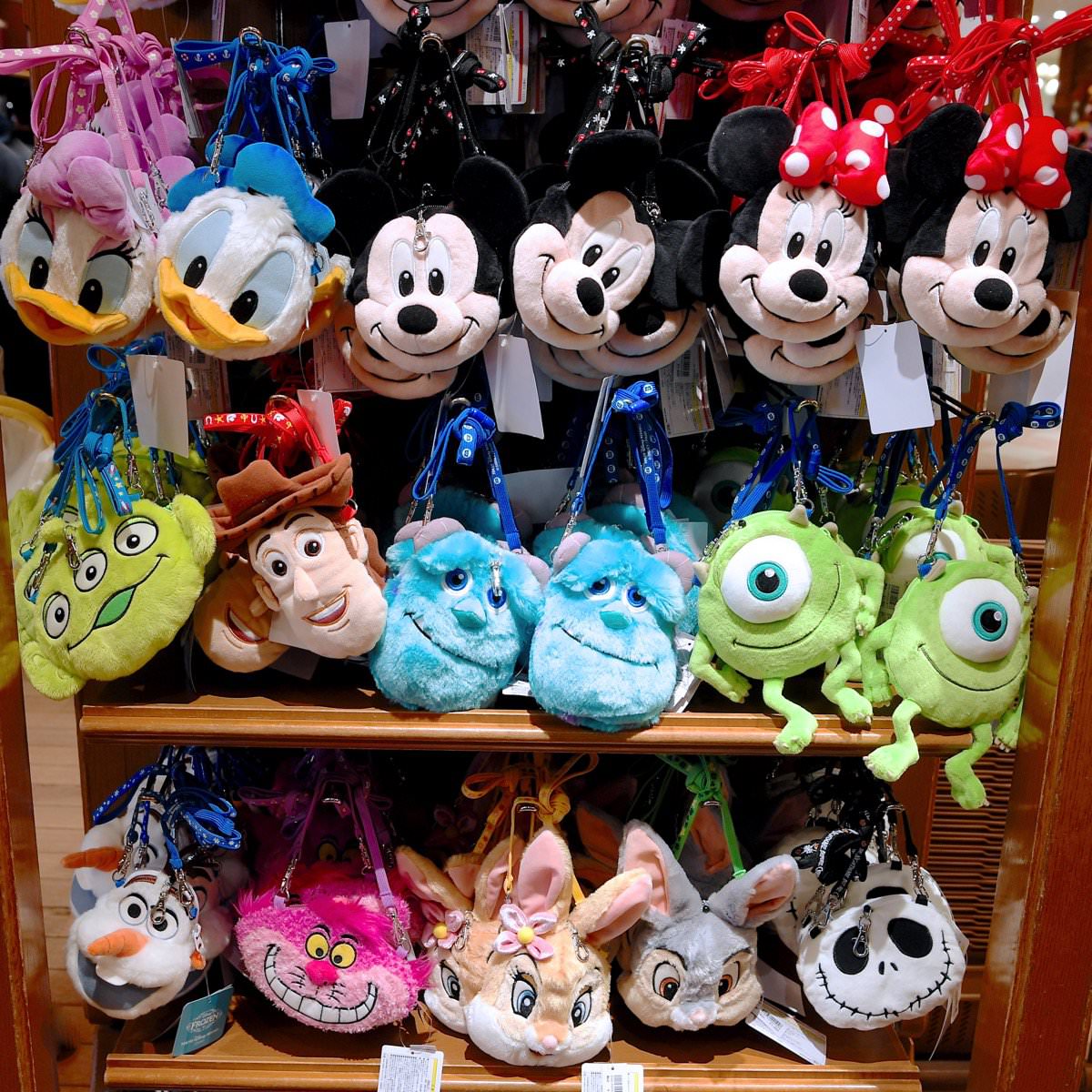 定期入れにもおすすめ！東京ディズニーランド2017春夏キャラクターパス