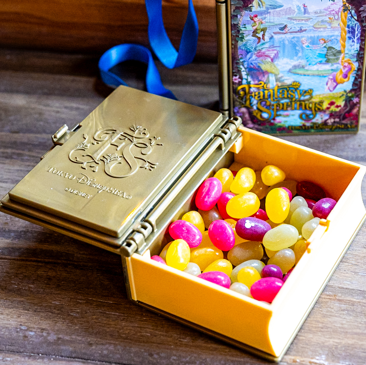 おしゃれな本型！東京ディズニーシー／ファンタジースプリングス ミニ