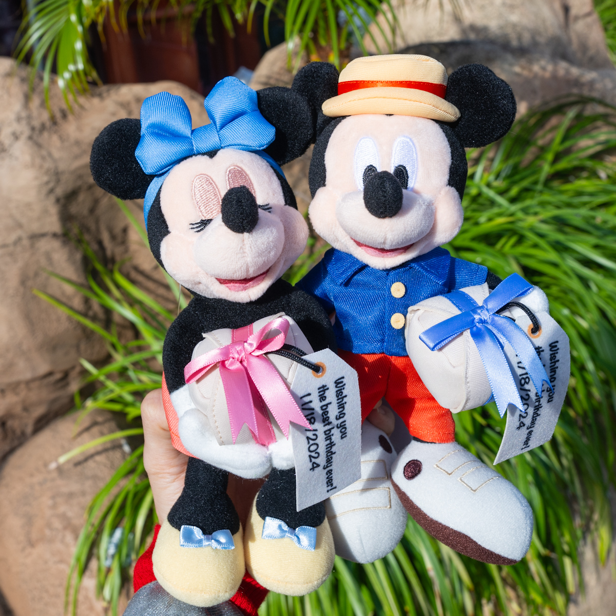 ミッキーの誕生日』デザイン！東京ディズニーリゾート｢ミッキー&ミニー