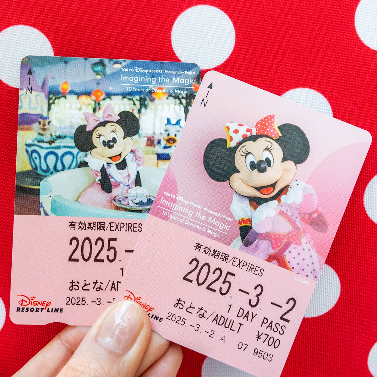 第5弾はミニー2種！ディズニーリゾートライン「イマジニング・ザ