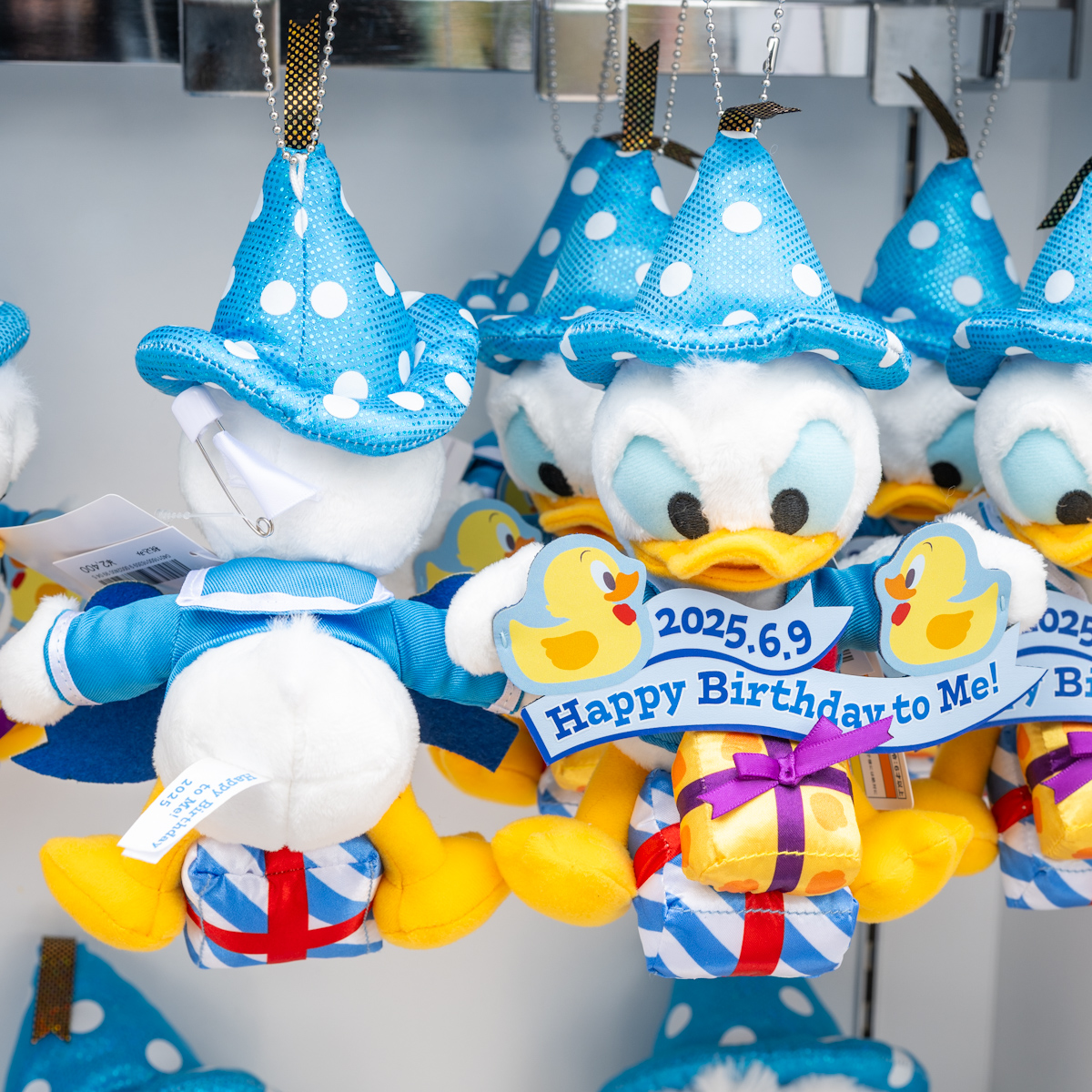 2025年のお誕生日をお祝い！東京ディズニーリゾート「ドナルドダック