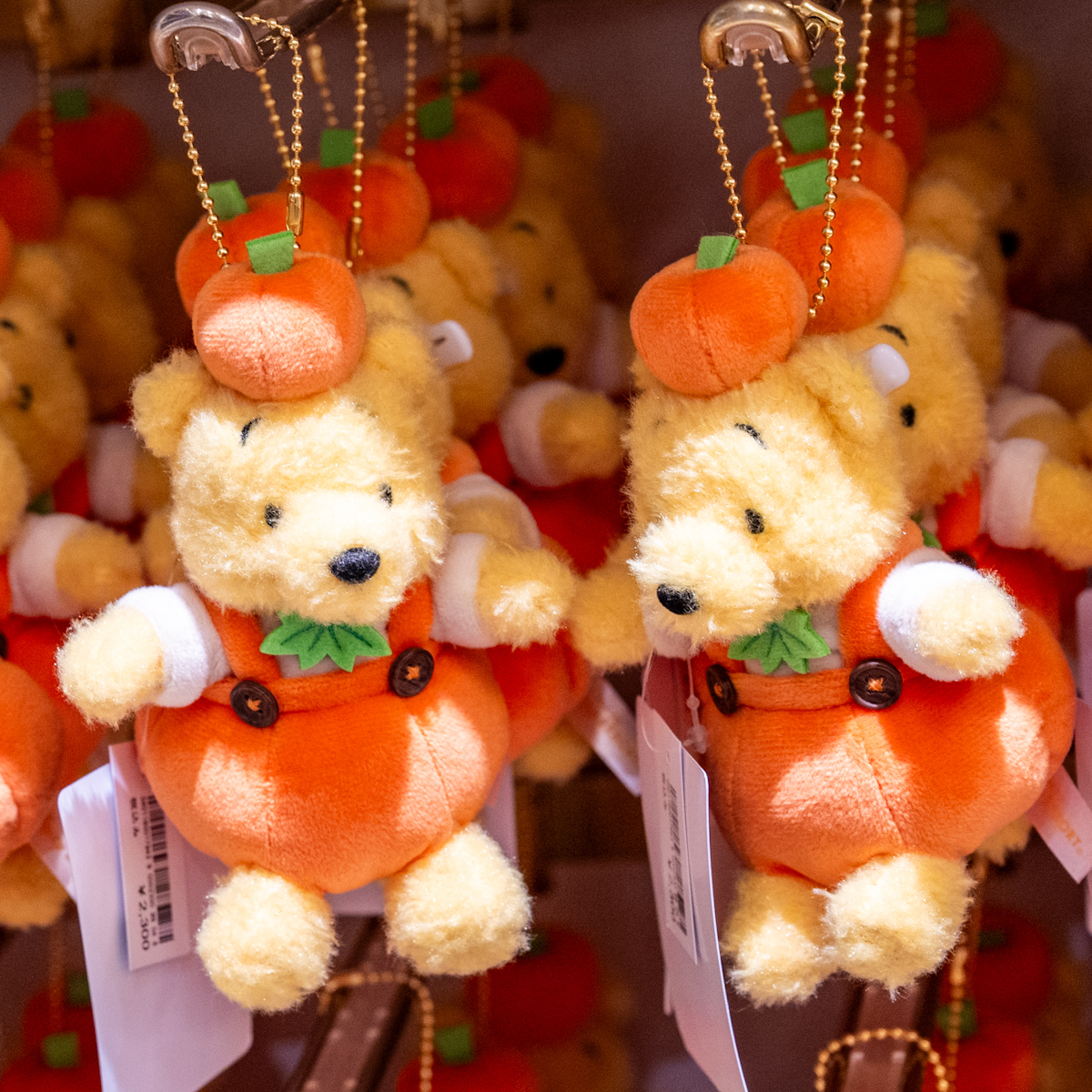 パンプキンコスチュームを着たプーさん！東京ディズニーリゾート