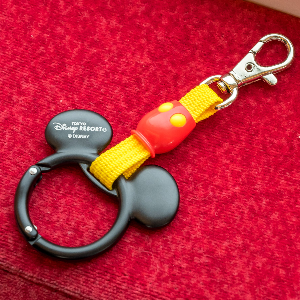 リゾートライナーのつり革デザイン！東京ディズニーランド「ディズニー