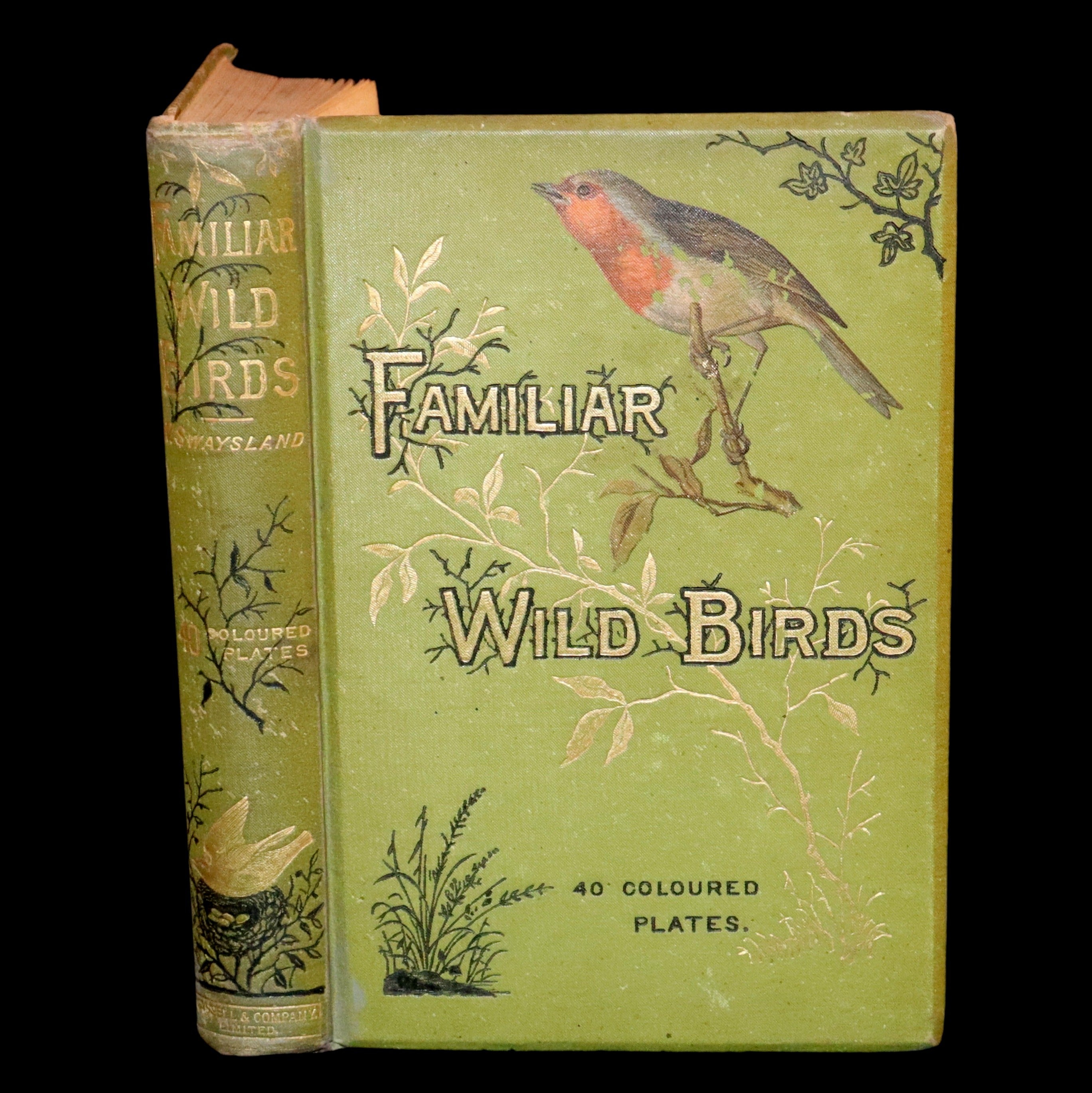 1883 Rare Ornithology First Edition ~ Familiar Wild Birds by