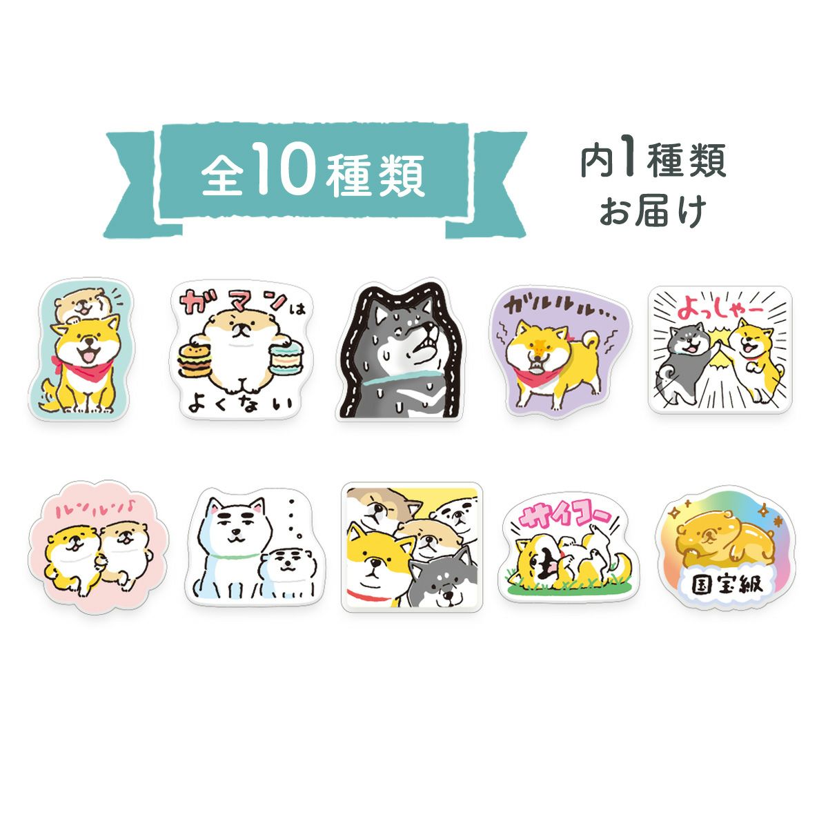 オンラインストア＆催事限定 トレーディングマグネット しばんばん