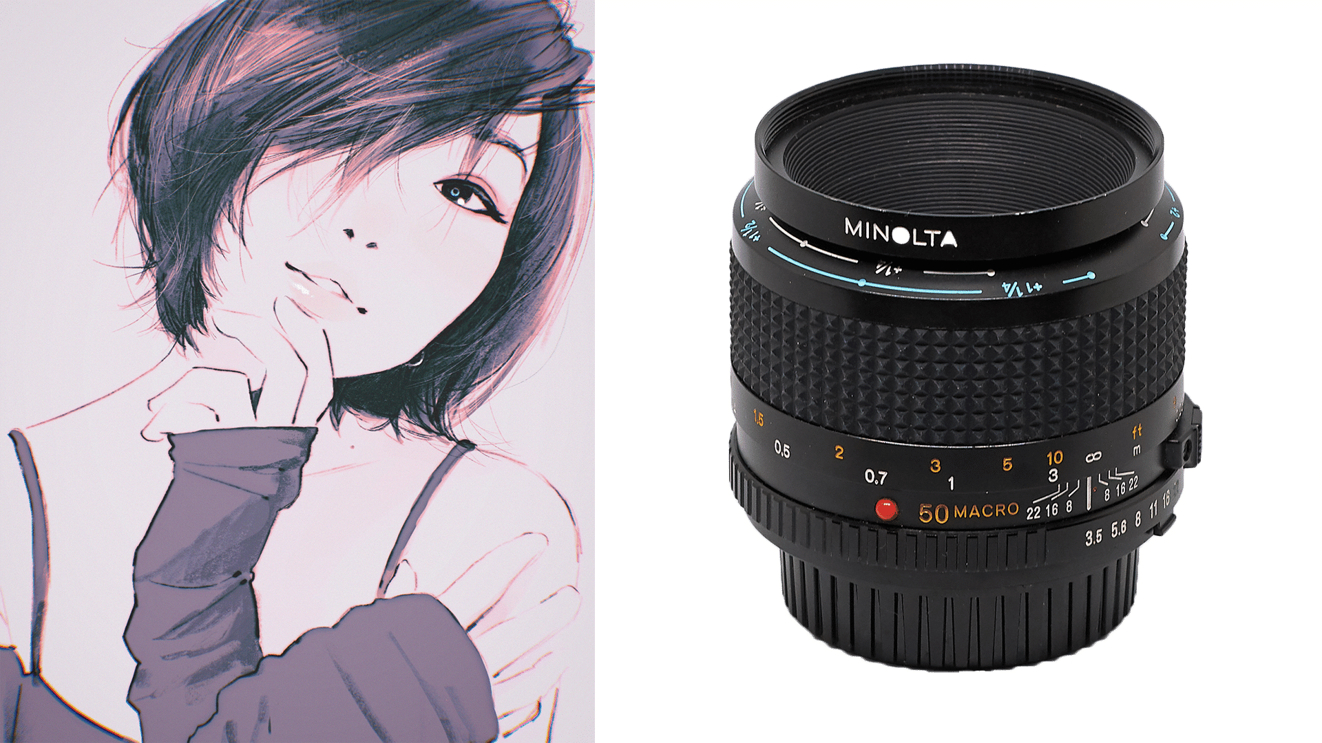 Minolta MD 50mm 1:3.5 Macro tests and review - Lens QA Works