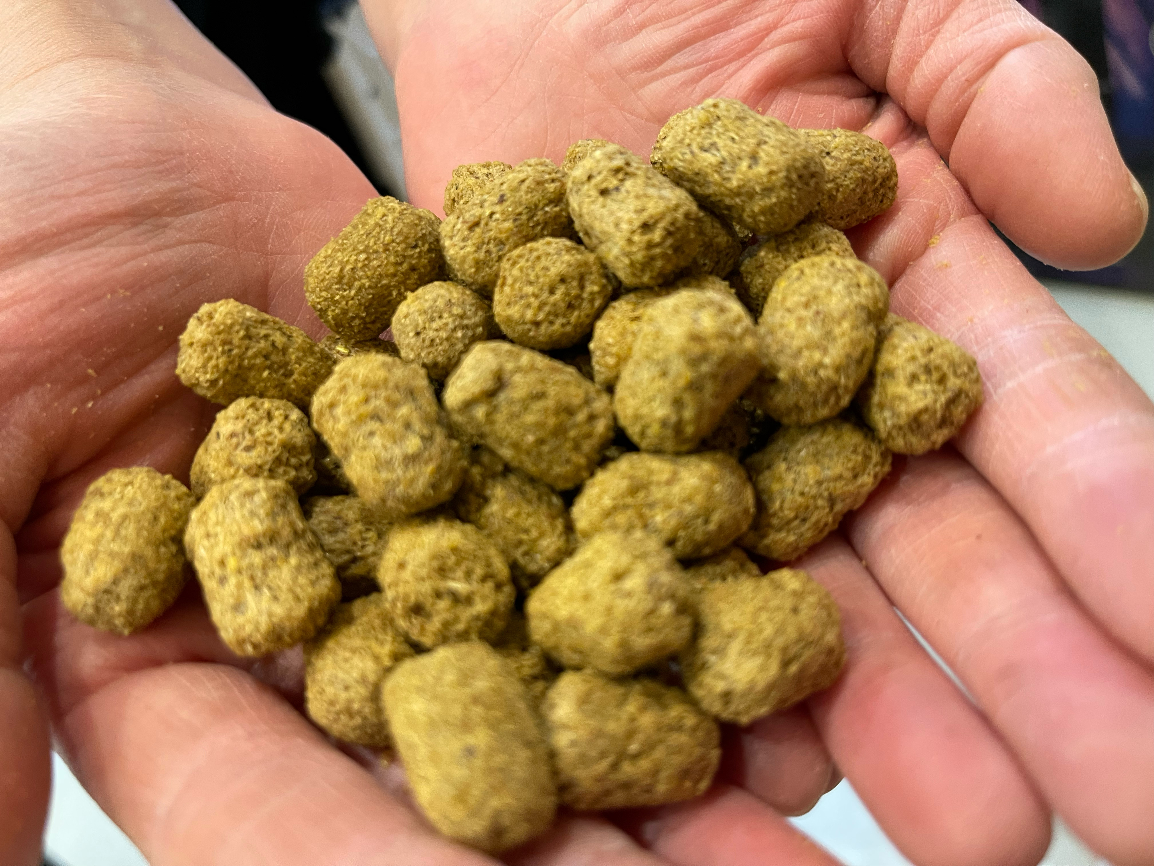 MINORITY ONLINE STORE / Mazuri マズリ 5M21 （11.3kg）※合計2万円