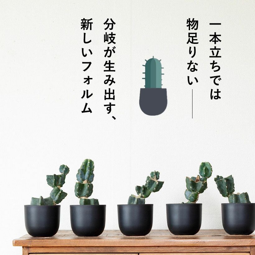 000000009100-02.jpg?size=l&w=