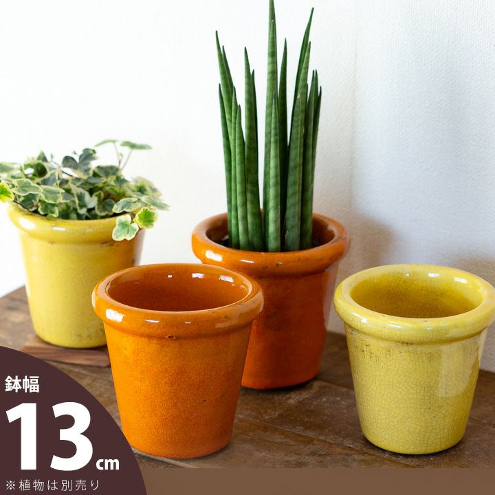 陶器やセメント素材の植木鉢72種｜小さめでおしゃれな鉢が豊富！