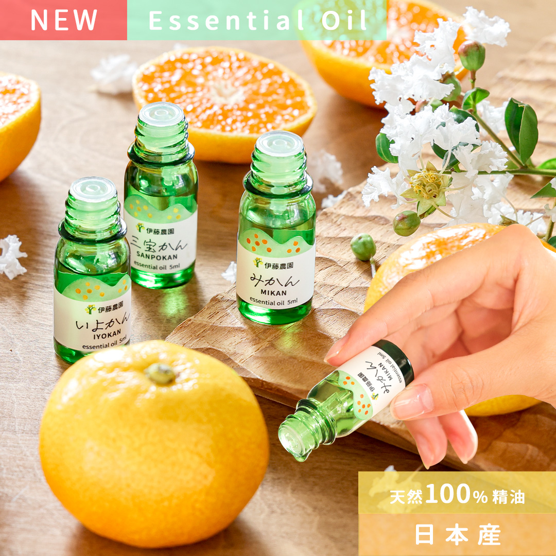 お届け予定が選べる♪｜お届け予定より発送予定】有田みかんミックス