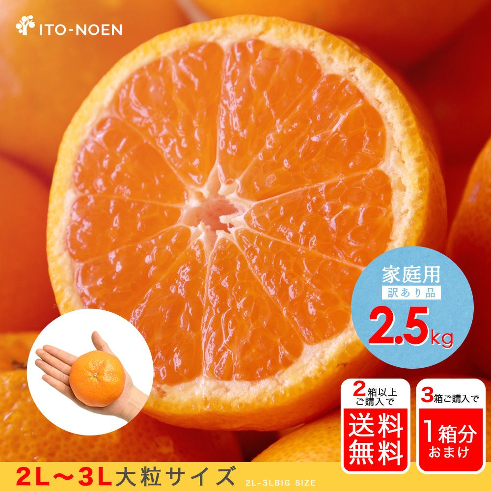 000000000685-01-xl.jpg?t=