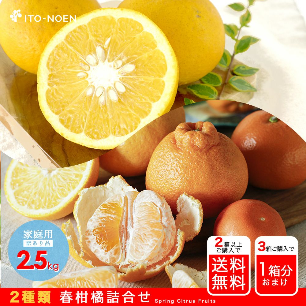 信濃毎日新聞・朝刊】春柑橘お楽しみ箱(八朔・不知火)【家庭用(訳あり