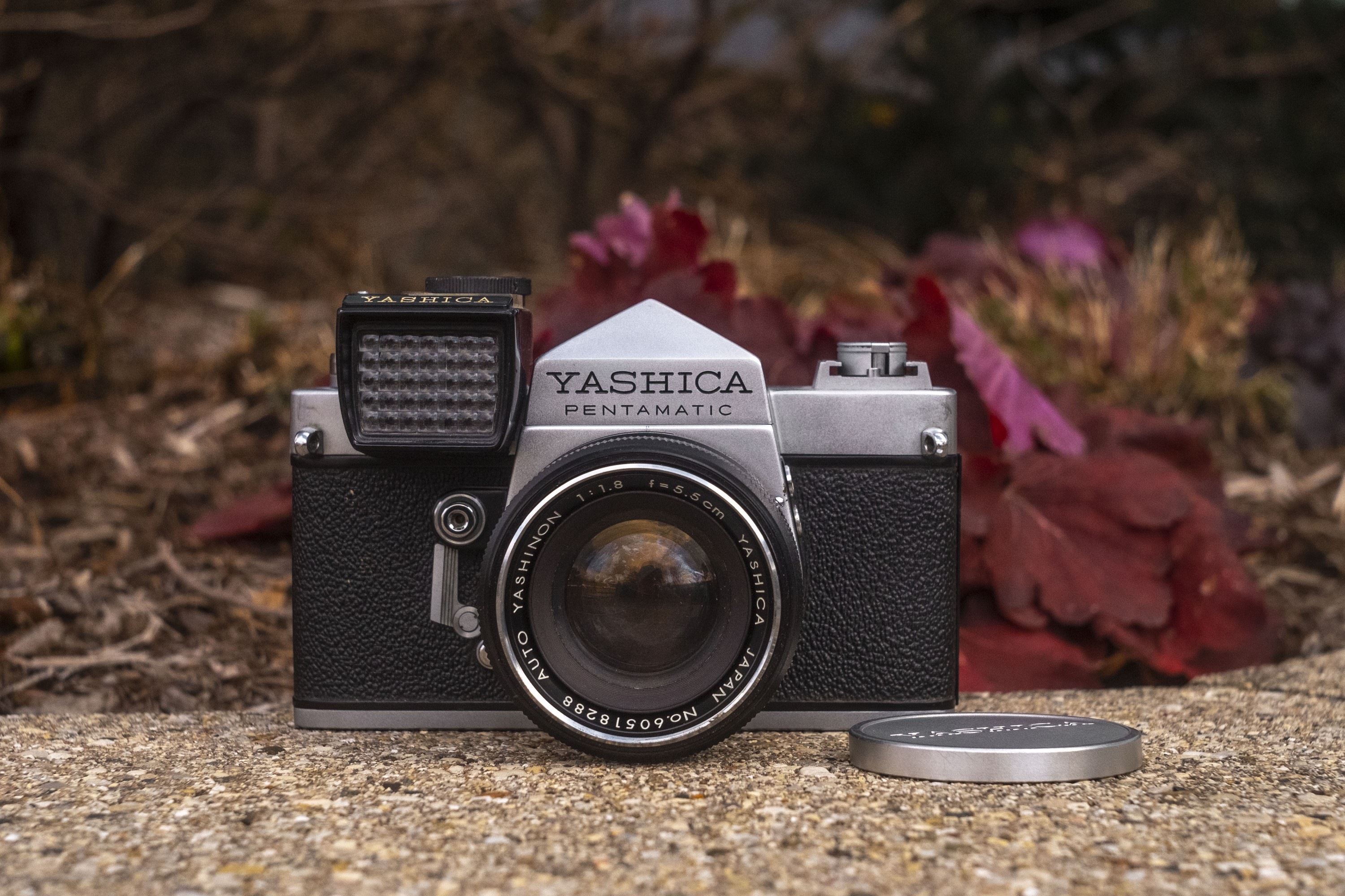 Yashica Electro 35 CC (1970) – mike eckman dot com