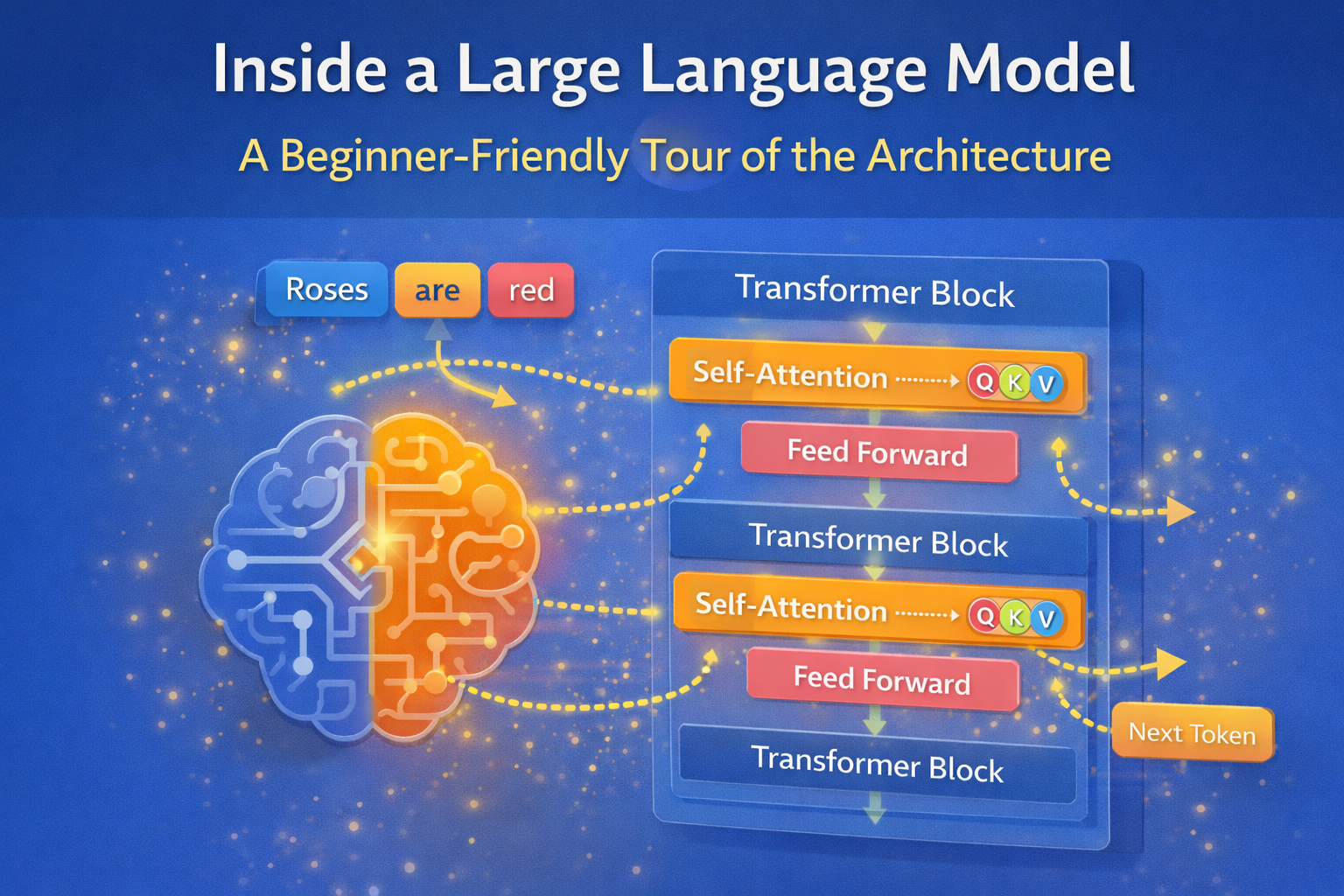 Inside a Large Language Model: A Beginner-Friendly Tour of the