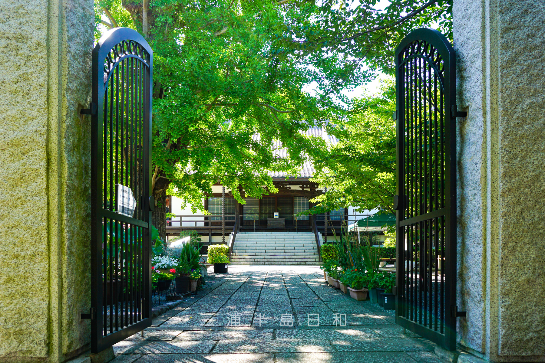 浄土寺 | 旧逸見村の領主だった三浦按針(ウィリアム・アダムス)の菩提寺