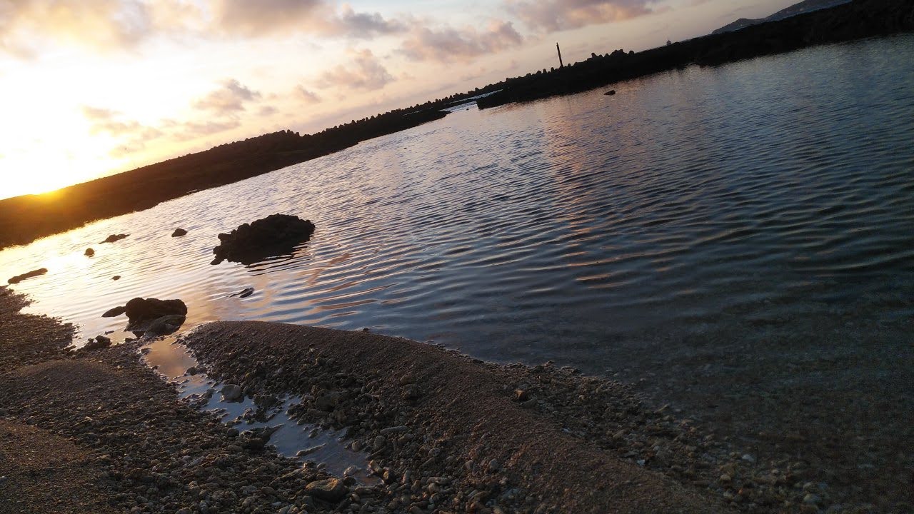 令和6年7月26日法務省民商第116号商業登記規則等の一部を改正