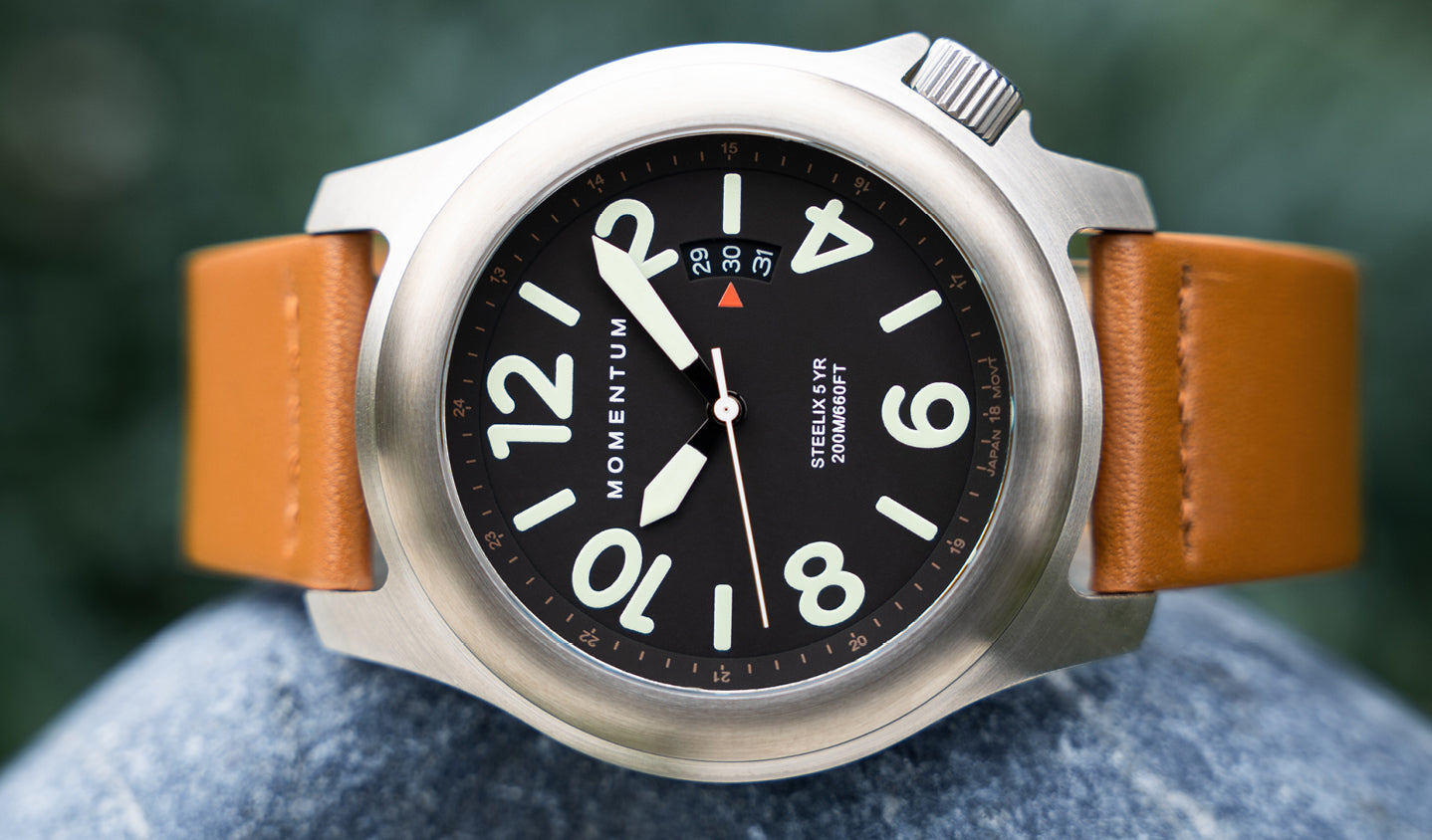 Steelix [44mm] | Men's Field Watch | Momentum