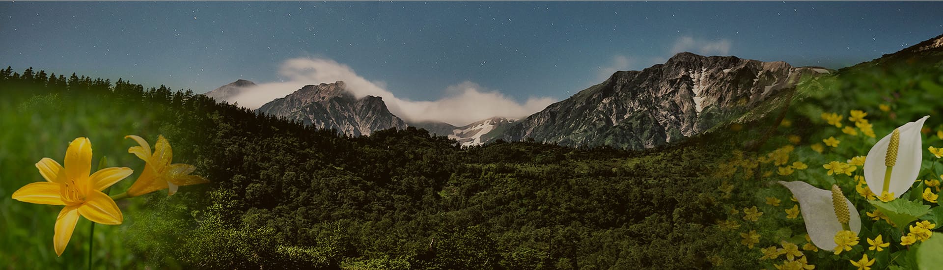 白馬の楽しみ方｜モンモン栂池【公式サイト】