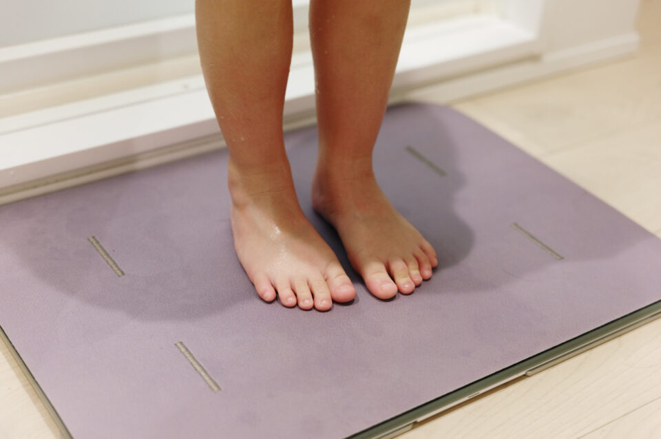 smart-bathmat-body-composition