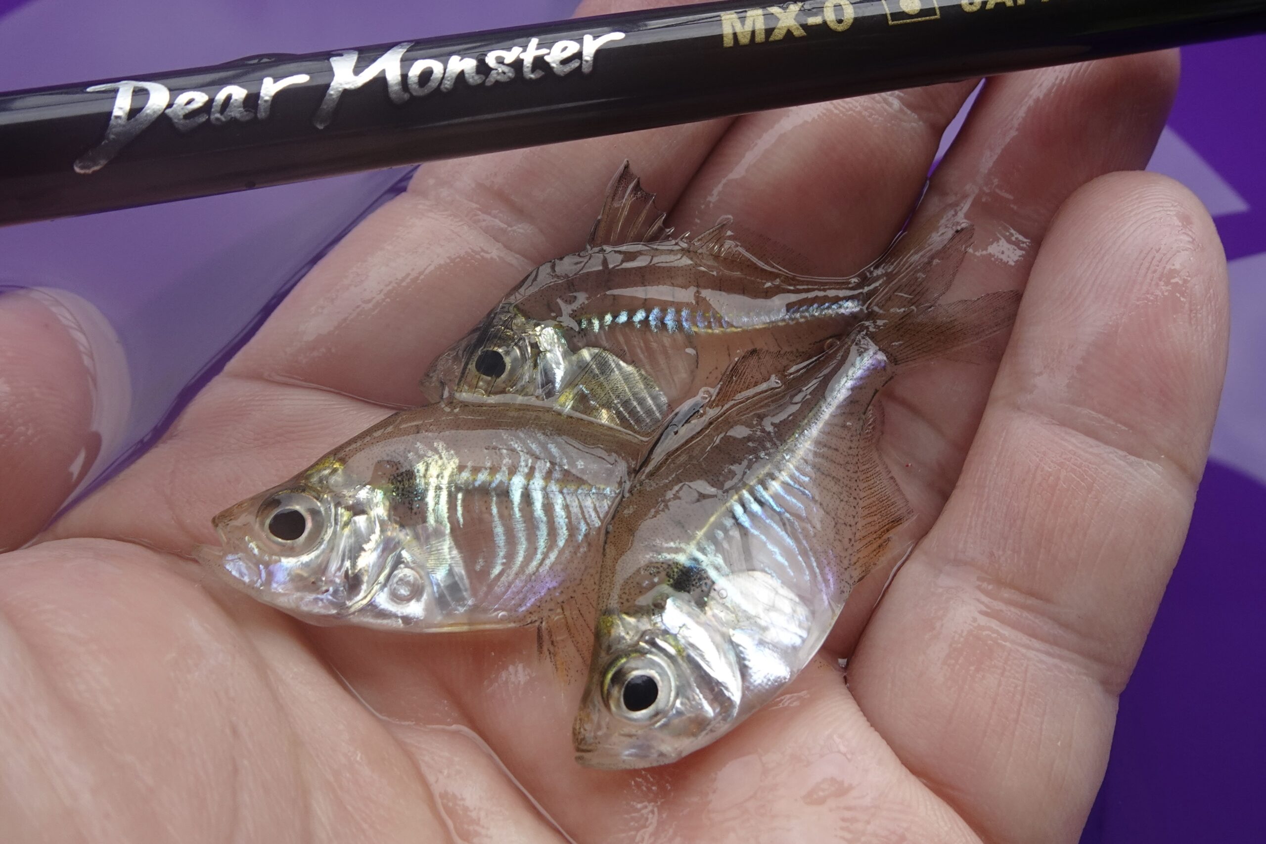 Dear Monster MX-0 - Monster Kiss モンスターキス