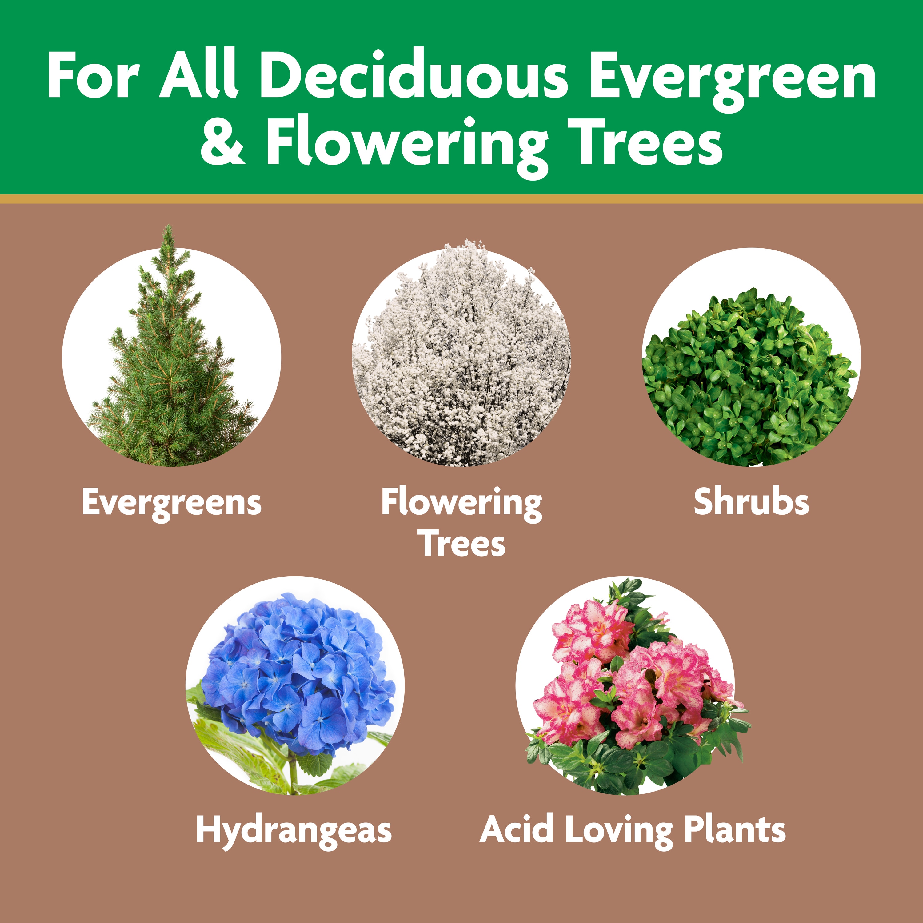 Miracle-Gro 12-Count 12-6-12 Spikes Tree Food 4851512 at Lowes.com