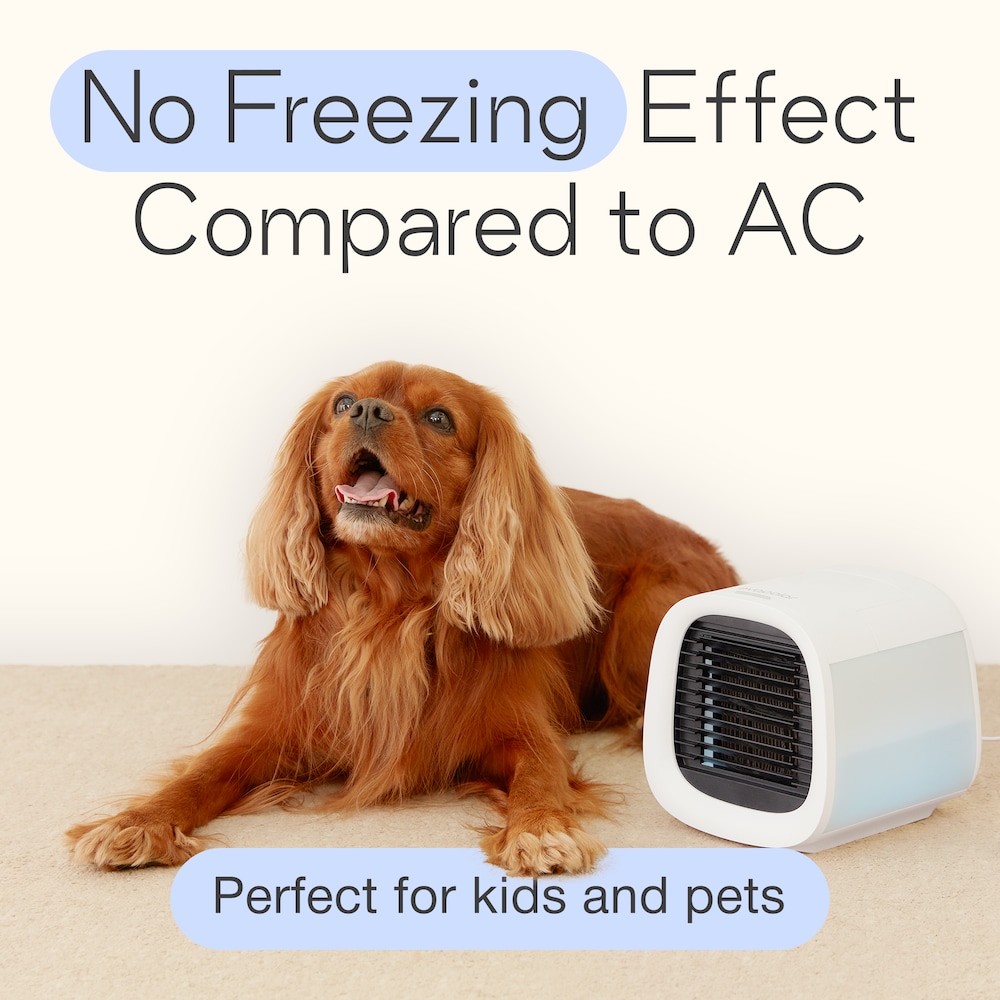 Evapolar EV-500-BTU DOE (5-Volt) White Ventless Portable Air