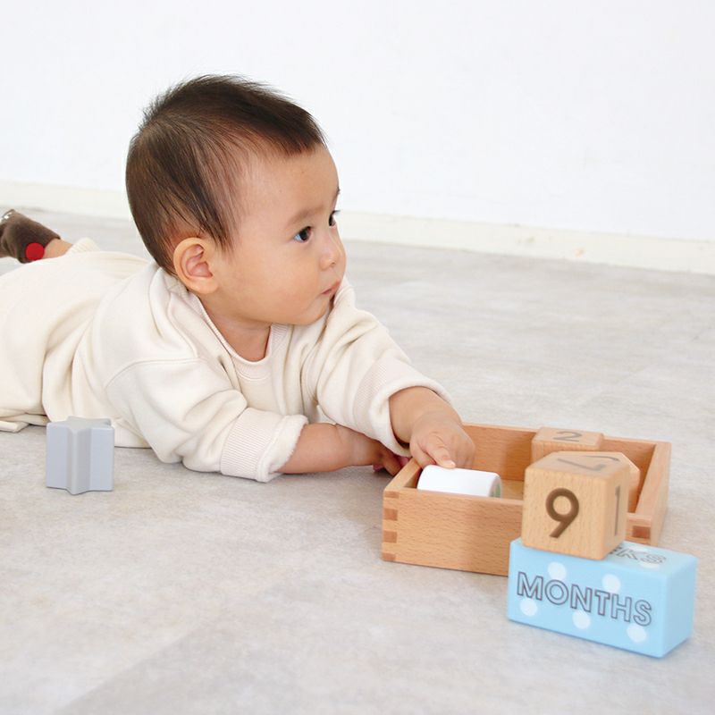 記念フォトが撮れるブロックセット メモリービスケット Memory