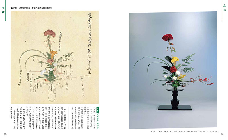 next | 華道家元池坊 池坊中央研修学院 特命教授 森部隆