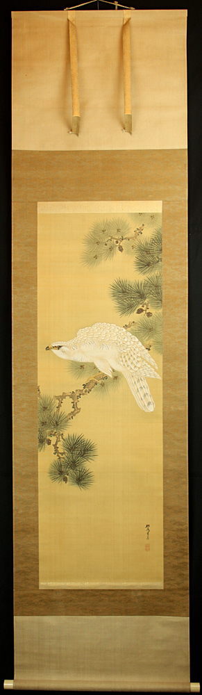 岸良 『老松鷹之図』【動物・魚・鳥・虫の浮世絵・掛軸・骨董品の