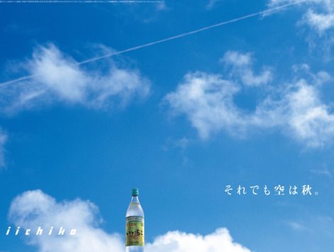 俳句と作品写真は似てる | モリパパ moripapa